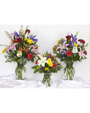 As Shown- Small size, inches height and inches wide.